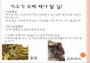 이색애완동물 14페이지