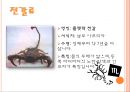 이색애완동물 16페이지