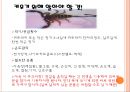 이색애완동물 17페이지