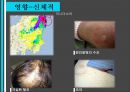 원전-르네상스시대의 대위기 17페이지