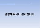 노르웨이 복지제도  14페이지