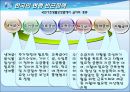 빈곤가정 대상 정책과 사회복지 서비스  19페이지