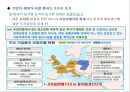 단독투자와 합작투자의 사례 6페이지