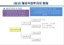단독투자와 합작투자의 사례 15페이지