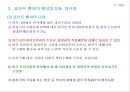 단독투자와 합작투자의 사례 29페이지