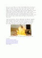 셰일가스 (Shale gas)의 정의 4페이지