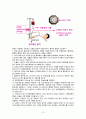 수혈과 간호 13페이지
