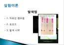 박막 크로마토그래피 (Thin-layer chromatography).PPT자료 12페이지