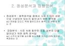양이온 피피티 4페이지