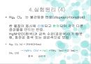 양이온 피피티 11페이지