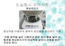 양이온 피피티 15페이지