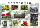[생활원예 A+] 실내외 조경 계획안.ppt 2페이지
