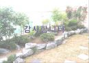 [생활원예 A+] 실내외 조경 계획안.ppt 11페이지