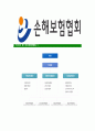 [손해보험협회-최신공채합격자기소개서]손해보험협회자기소개서자소서,손해보험협회자소서자기소개서자소서,보험협회합격자기소개서,합격자소서,손해보험협회 6페이지