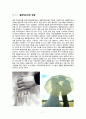 [결혼산업] 결혼산업의 시장규모, 현황, 결혼산업의 특징, 배경, 결혼산업의 전망과 나아갈 방향 7페이지