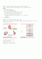 스포츠 과학적 이해 정리 3페이지