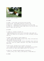 담배값 인상 정책에 따른 찬성과 반대의견 2페이지
