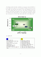 빈폴의 마케팅 전략 9페이지