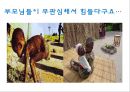 고등학교 자살예방(학생교육용) 38페이지
