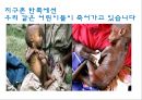 고등학교 자살예방(학생교육용) 39페이지