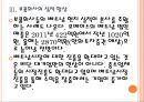 [베트남시장]국내업체들의 베트남시장 진출전략 PPT자료 12페이지