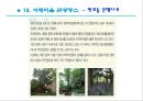 서래마을 환경조사서.ppt 21페이지