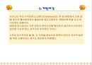 2.세계적 대규모 도시재생 및복합개발사업추진사례 (영국 Canary Wharf ) 8페이지