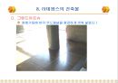3.세계적 대규모 복합 용도 단지 개발 사례 파리의 신도시 라데팡스(La Defense)  79페이지