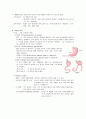 case_KGCC 위암(Stomach Cancer) 5페이지