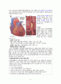 CAOD, PTCA, 당뇨 DM 케이스 2페이지