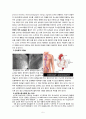 CAOD, PTCA, 당뇨 DM 케이스 5페이지