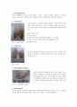 DR ward class 분만 3페이지