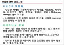 기업성공 및 실패사례 - NC 소프트 & 민들레 영토.ppt 10페이지