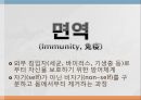 면역학 (Immunity).ppt 3페이지
