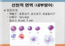 면역학 (Immunity).ppt 11페이지