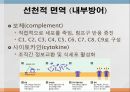 면역학 (Immunity).ppt 13페이지