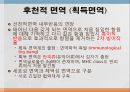 면역학 (Immunity).ppt 15페이지