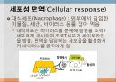 면역학 (Immunity).ppt 20페이지