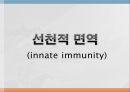 어류의 면역.ppt 7페이지