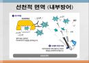 어류의 면역.ppt 12페이지