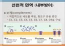어류의 면역.ppt 13페이지