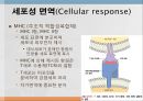 어류의 면역.ppt 19페이지