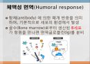 어류의 면역.ppt 25페이지
