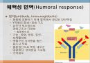 어류의 면역.ppt 26페이지