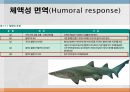 어류의 면역.ppt 27페이지