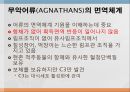 어류의 면역.ppt 32페이지