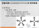 어류의 면역.ppt 34페이지