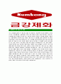 [금강제화-최신공채합격자기소개서]금강제화자기소개서자소서,금강제화그룹자소서자기소개서,금강제화자소서,금강제화그룹합격자기소개서,합격자소서,금강제화 5페이지