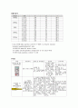 신생아 황달 (neonatal jaundice = Neonatal hyperbilirubinemia) 케이스 4페이지
