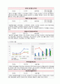 하이닉스(Hynix) 분석 11페이지